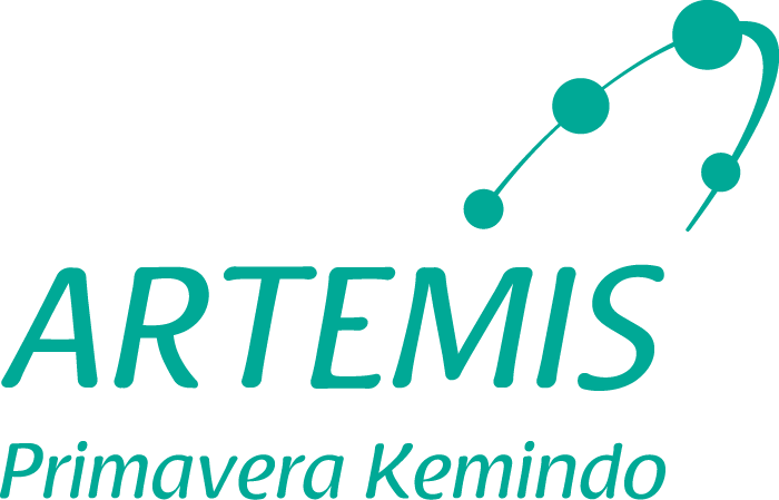 PT Artemis Primavera Kemindo